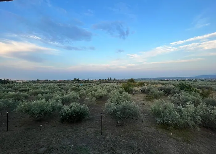 Mavitaplace Olympus Olive House-Upper Floor Leptokarya